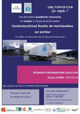 CONDUCTEUR(TRICE) ROUTIER DE MARCHANDISES SUR PORTEUR