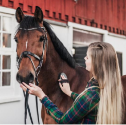 OUVRIER AGRICOLE POLYVALENT SPECIALISE CHEVAL